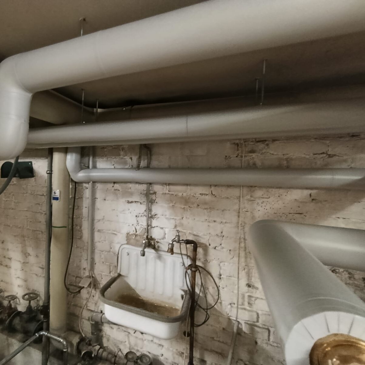 WhatsApp Image 2026-03-03 at 17.54.59 (2)